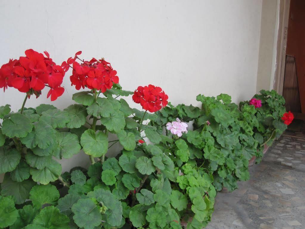 Tasi Dhargey Inn Katmandu Kültér fotó